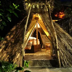 https://studio-mazo-the-glamping.in-canary-islands.com